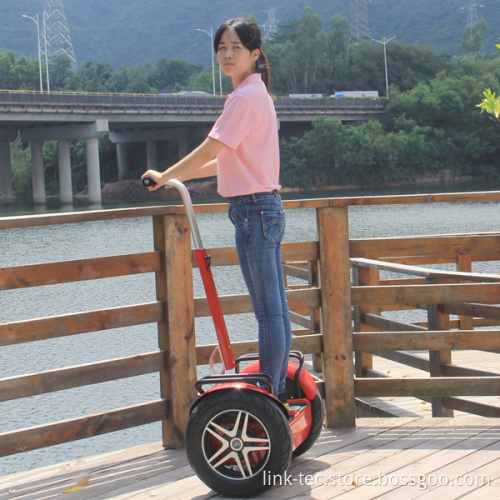 New Style Self Balancing Car Two Wheel Electric Scooter with LCD Outdoor Electric Bike Made in China